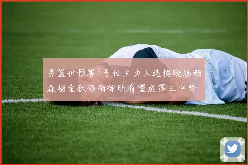 男篮世预赛5号位主力人选揭晓杨瀚森胡金秋领衔徐昕有望成第三中锋